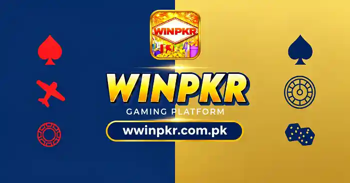 winpkr binner image